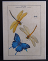 Libellen und Schmetterling (etwa 20x30 cm)