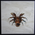 Krabbe (etwa 30x30 cm)